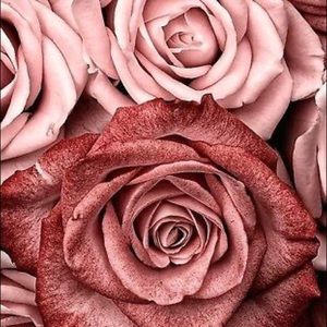 Meet your Posher, Paityn